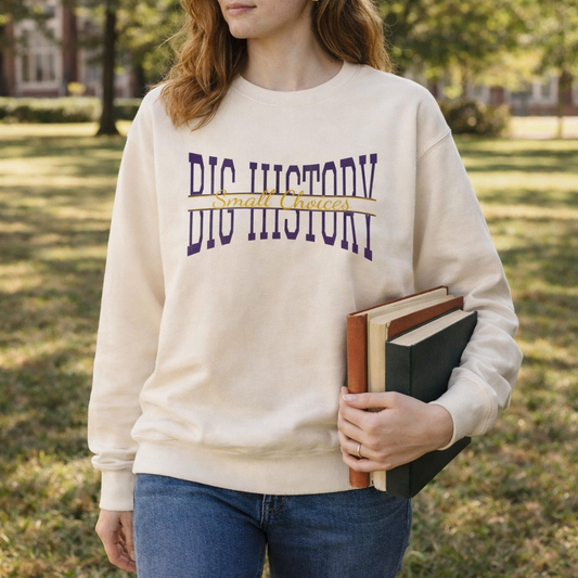 Small Choices, BIG HISTORY Sweatshirt — Archer Academy